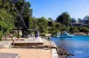 11/26 Cook Street, Glebe, NSW 2037-Image