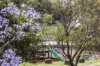 11/33 Trouton Street, Balmain, NSW 2041-Image