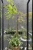 11/377 Little Collins Street, Melbourne, Vic 3000-Image