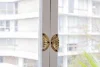 11/38 Roslyn Gardens, Rushcutters Bay, NSW 2011-Image