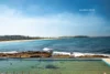 11/38 The Crescent, Dee Why, NSW 2099-Image
