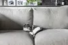 11/4 Rothschild Avenue, Rosebery, NSW 2018-Image