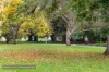 11/449-453 St Kilda Road, Melbourne, Vic 3004-Image