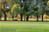 11/449-453 St Kilda Road, Melbourne, Vic 3004-Image