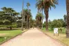 11/5 Herbert Street, St Kilda, Vic 3182-Image
