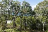 11/6 Great Northern Highway, Hamilton Island, Qld 4803-Image