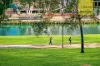 11/6 Sorrell Street, Parramatta, NSW 2150-Image