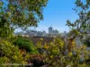 11/89 Broome Street, Maroubra, NSW 2035-Image