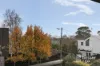 11 Chatsworth Road, Prahran, Vic 3181-Image