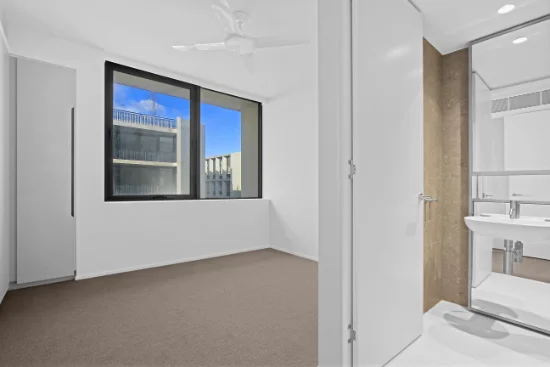 11 Young Street, Randwick, NSW 2031-Image