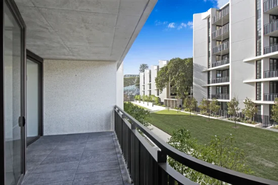 11 Young Street, Randwick, NSW 2031-Image