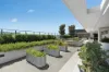 110/1 Chapel Lane, Rockdale, NSW 2216-Image
