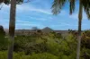 110/1 Edgar Bennett Avenue, Noosa Heads, Qld 4567-Image