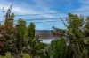 110/1 Edgar Bennett Avenue, Noosa Heads, Qld 4567-Image