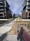 110/39 McIntyre Street, Narrabundah, ACT 2604-Image