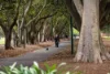 1105/505 St Kilda Road, Melbourne, Vic 3004-Image