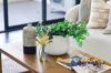 1106B/2 Muller Lane, Mascot, NSW 2020-Image