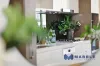 1106B/2 Muller Lane, Mascot, NSW 2020-Image