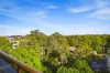 1119/8 Avon Road, Pymble, NSW 2073-Image