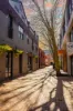113/569 Hunter Street, Newcastle West, NSW 2302-Image