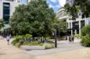11408/88 Doggett Street, Newstead, Qld 4006-Image