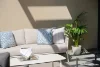 115/1 Sergeants Lane, St Leonards, NSW 2065-Image