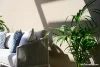 115/1 Sergeants Lane, St Leonards, NSW 2065-Image