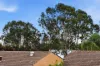 115/6 Manning Terrace, South Perth, WA 6151-Image