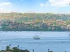 116 Bathurst Street, Sydney, NSW 2000-Image