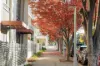117/102 Giles Street, Kingston, ACT 2604-Image