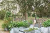 11b/62 Wattle Street, Lyneham, ACT 2602-Image