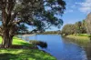 12/109 Clovelly Road, Randwick, NSW 2031-Image