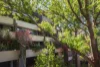 12/110 Cascade Street, Paddington, NSW 2021-Image