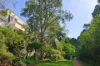 12/13 Blaxland Avenue, Newington, NSW 2127-Image