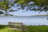 12/194 The Esplanade, Speers Point, NSW 2284-Image