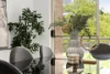 12/2 Selmon Street, Sans Souci, NSW 2219-Image