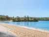 12/22 Warringah Road, Mosman, NSW 2088-Image