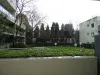 12/29-45 Parramatta Road, Concord, NSW 2137-Image