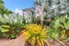 12/3 Mitaros Place, Parap, NT 0820-Image