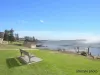 12/43-45 Seaview Street, Cronulla, NSW 2230-Image
