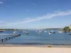 12/48-52 Addison Road, Manly, NSW 2095-Image