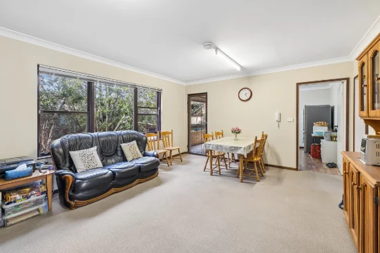 12/49 Charlotte Street, Ashfield, NSW 2131
