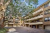 12/49 Charlotte Street, Ashfield, NSW 2131-Image