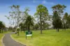 12/7 College Parade, Kew, Vic 3101-Image