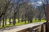12/77 Macarthur Avenue, O'Connor, ACT 2602-Image