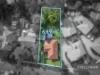 12 Wimpole Crescent, Bellfield, Vic 3081-Image
