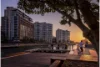 1202/2-4 Mount Street Walk, Pyrmont, NSW 2009-Image