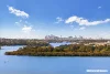 1202/36 Walker Street, Rhodes, NSW 2138-Image