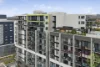 1204/335 Anketell Street, Greenway, ACT 2900