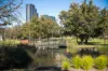 1208/850 Whitehorse Road, Box Hill, Vic 3128-Image